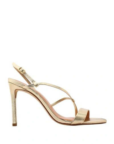 Shop Halston Heritage Sandals In Platinum