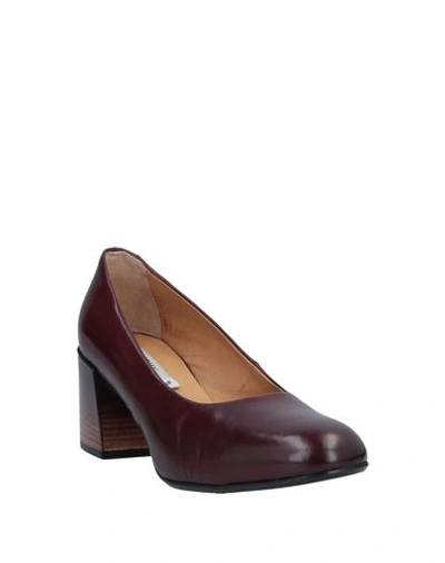 Shop Alberto Fermani Pumps In Maroon