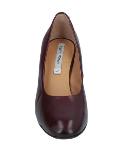 Shop Alberto Fermani Pumps In Maroon