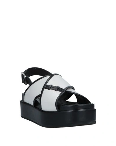 Shop Alberto Fermani Sandals In White