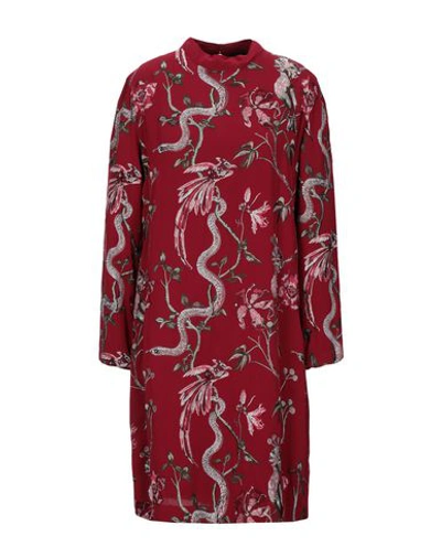 Shop Just Cavalli Woman Mini Dress Red Size 6 Viscose, Silk