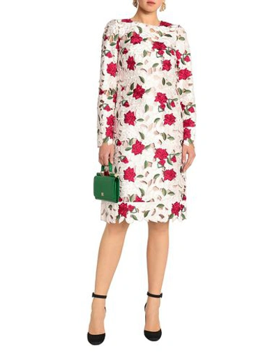 Shop Dolce & Gabbana Formal Dress In Ivory