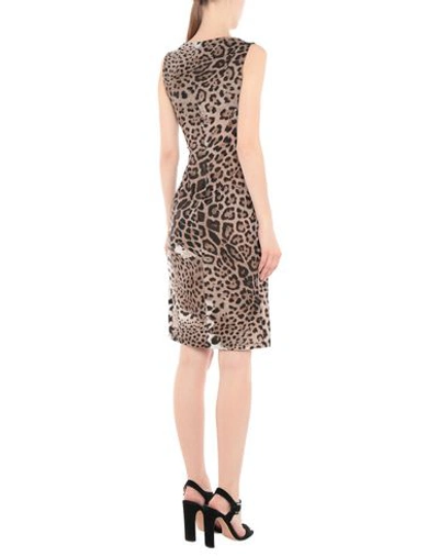 Roberto Cavalli Woman Mini Dress Camel Size 8 Polyamide, Elastane In Beige