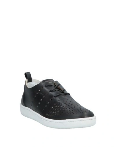 Shop Alberto Guardiani Sneakers In Black