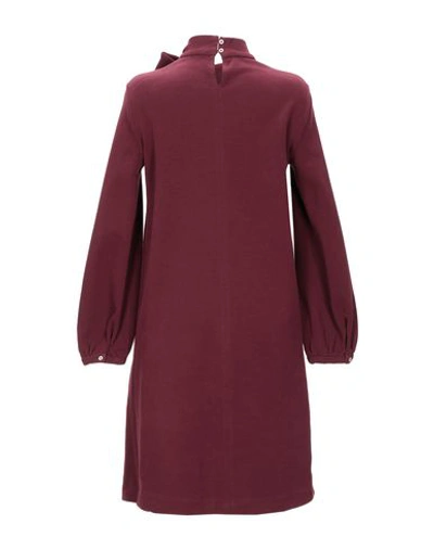 Shop Circolo 1901 1901 Short Dresses In Maroon