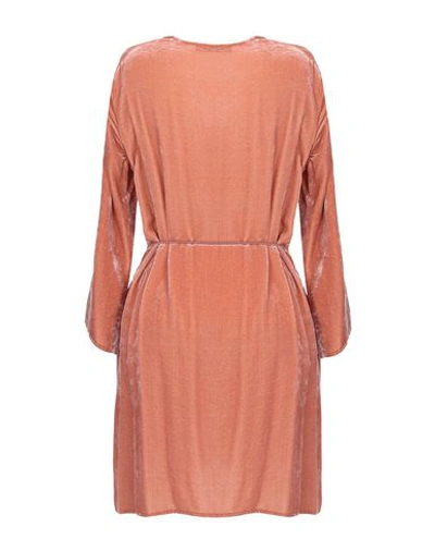 Shop Antonelli Short Dress In Pastel Pink