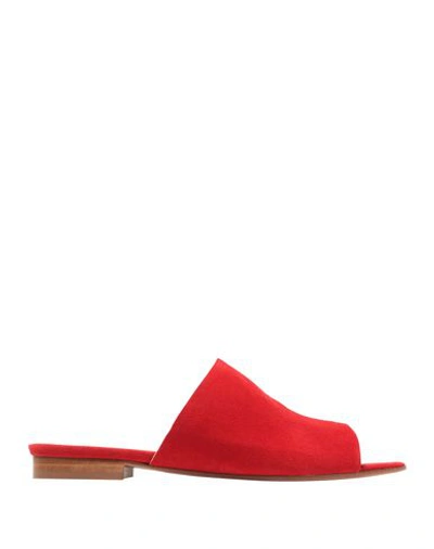 Shop Iris & Ink Sandals In Red