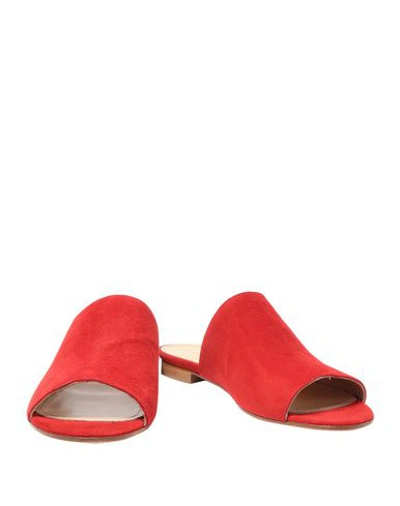 Shop Iris & Ink Sandals In Red