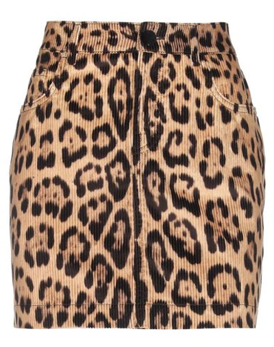 Shop Dolce & Gabbana Mini Skirts In Camel