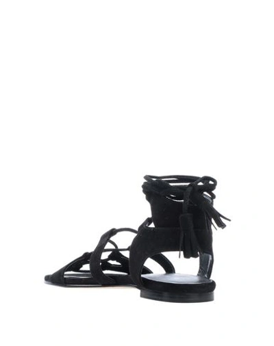 Shop Stuart Weitzman Sandals In Black