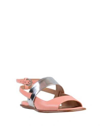 Shop Bally Sandals In Salmon Pink