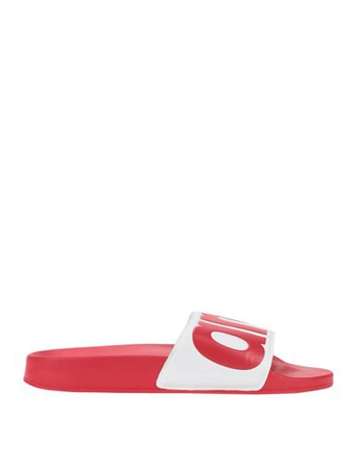 Shop Arena Sandals In White