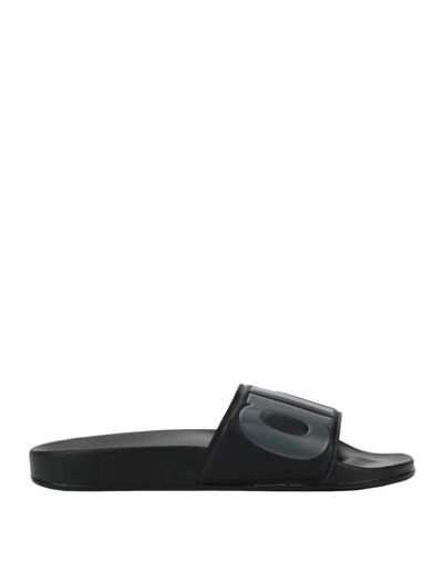 Shop Arena Sandals In Black