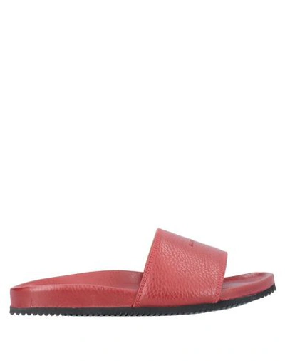 Shop Buscemi Sandals In Red