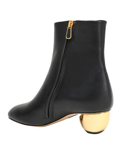 Shop Paul Andrew Ankle Boot In Black