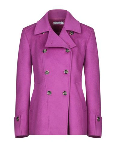 Shop Versace Coat In Light Purple