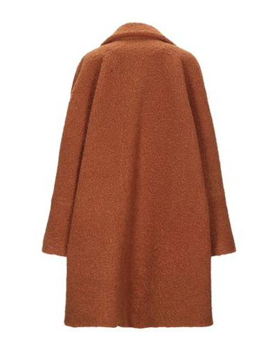 Shop True Tradition Coats In Brown
