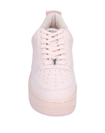 Shop Windsor Smith Sneakers In Light Pink