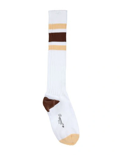 Shop Dsquared2 Socks & Tights In White