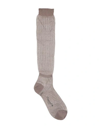 Shop Dsquared2 Socks & Tights In Khaki