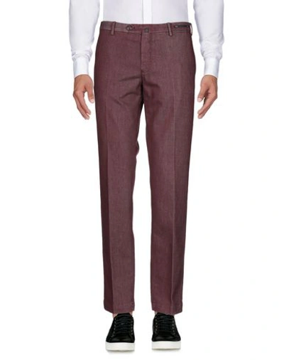 Pt01 Pants In Maroon