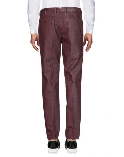 Pt01 Pants In Maroon
