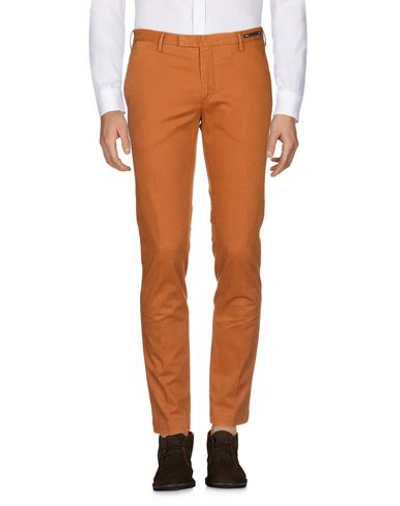 Shop Pt01 Pt Torino Man Pants Brown Size 38 Cotton, Elastane