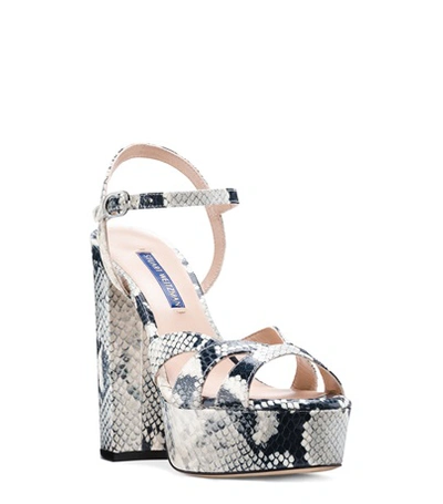 Shop Stuart Weitzman Misty Platform In Black And White Python Printed Leather