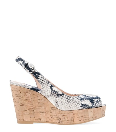 Shop Stuart Weitzman The Jean Wedge In Black And White Python Printed Leather