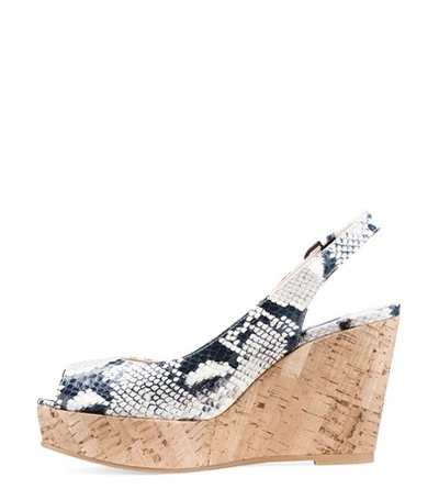Shop Stuart Weitzman The Jean Wedge In Black And White Python Printed Leather