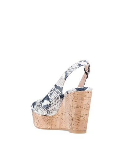 Shop Stuart Weitzman The Jean Wedge In Black And White Python Printed Leather