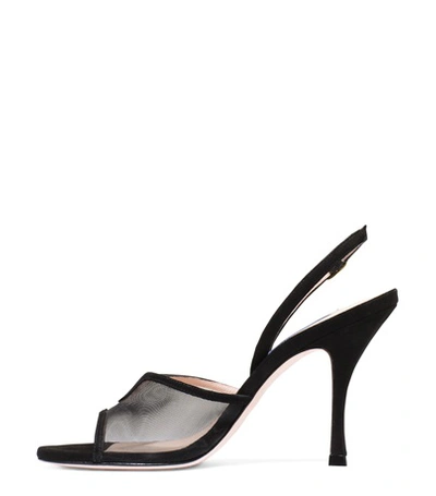 Shop Stuart Weitzman Mesha 95 In Black Suede And Mesh