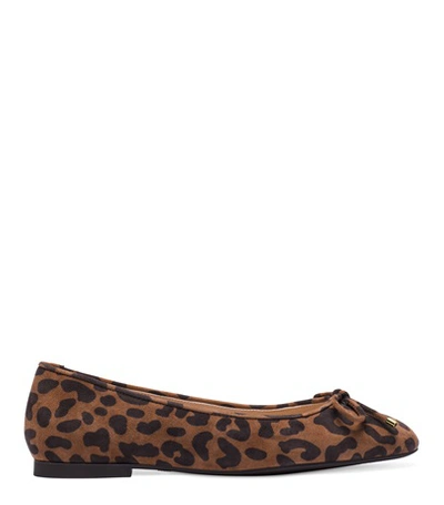 Shop Stuart Weitzman The Gabby Flat In Cappuccino Brown Cheetah Suede