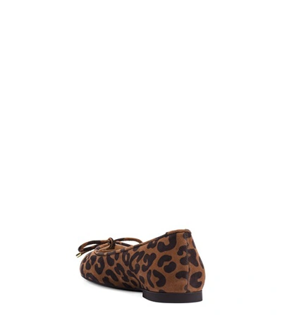 Shop Stuart Weitzman The Gabby Flat In Cappuccino Brown Cheetah Suede