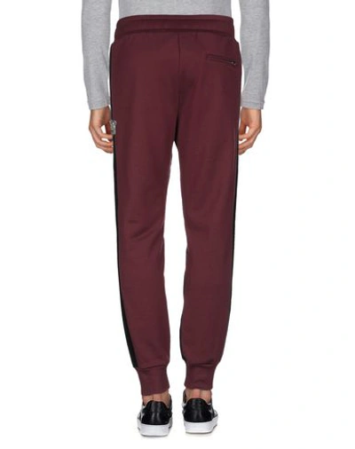 Shop Dolce & Gabbana Man Pants Deep Purple Size 40 Cotton, Polyester