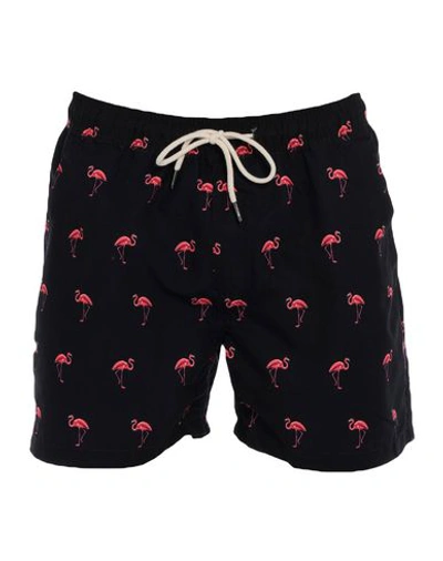 Shop Oas Swim Trunks In Black