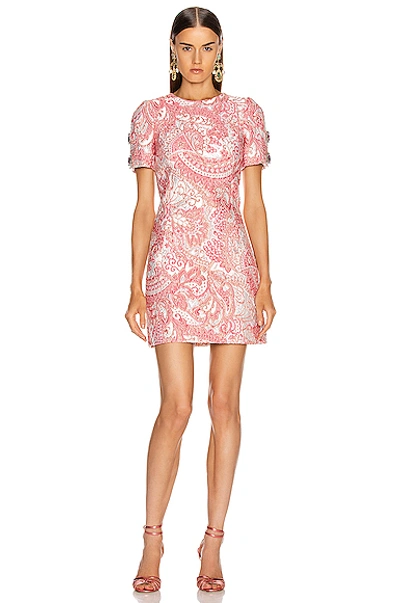 Shop Dolce & Gabbana Short Sleeve Embellished Sleeve Dress In Pink & White