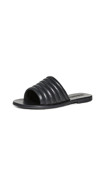 Shop Sol Sana Toro Slide Sandals In Black