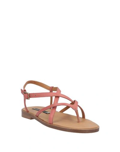 Shop Alberto Fermani Flip Flops In Coral