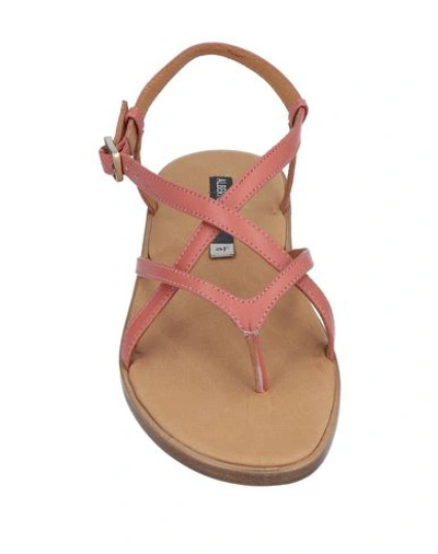 Shop Alberto Fermani Flip Flops In Coral