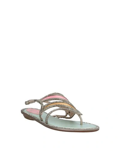 Shop René Caovilla Flip Flops In Khaki