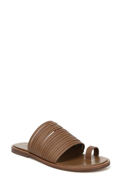Shop Vince Penrose Toe Loop Sandal In Tan