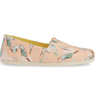 Shop Toms Classic Canvas Slip-on In Coral Pink Bird Fabric