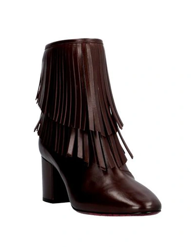 Shop Cesare Paciotti Ankle Boot In Dark Brown