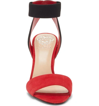 Shop Vince Camuto Citriana Sandal In Glamour Red/ Suede