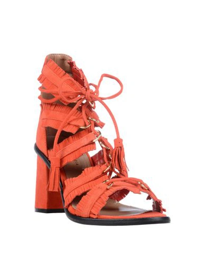 Bcbgmaxazria Sandals In Red