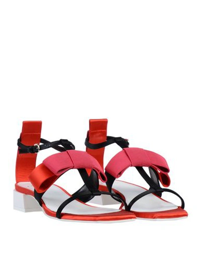 Shop Lanvin Sandals In Black