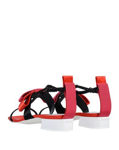 Shop Lanvin Sandals In Black