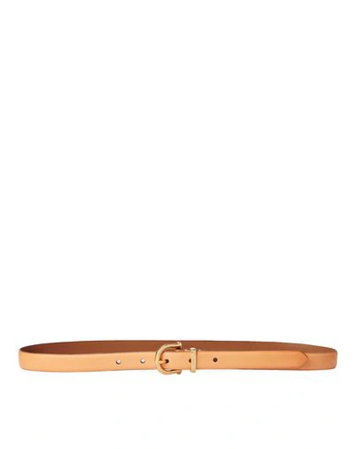Shop Lauren Ralph Lauren Regular Belt In Brown