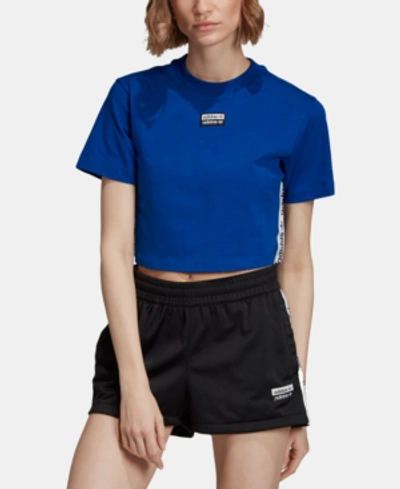 Shop Adidas Originals Cotton Cropped T-shirt In Collegiate Royal